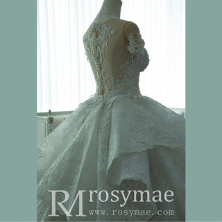 Short Sleeve Sheer Neck Lace Wedding Dresses with Puffy Skirt