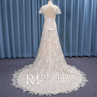 Short Sleeve Leafs Lace Brush Color A-line Bridal Gown Wedding Dress - Rosymae