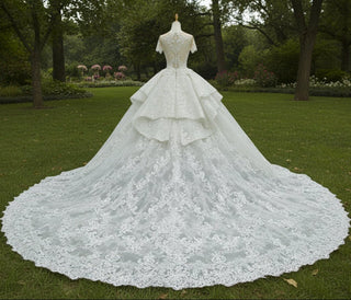 Short Sleeve Sheer Neck Lace Wedding Dresses with Puffy Skirt - Rosymae