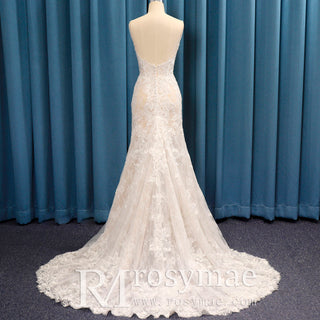 Spaghetti Strap Fit Flare V-neck Lace Bridal Gown Wedding Dress