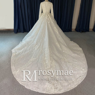 Sparkly Lace Long Sleeves Illusion Boat Neck Ball Gown Wedding Dress - Rosymae