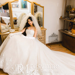 Puffy Skirt Ball Gown Bridal Wedding Dresses with Long Train