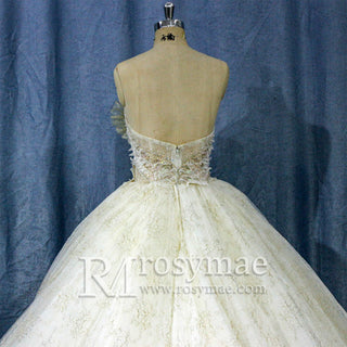 Strapless Puffy Skirt Sweetheart Lace Ball Gown Bridal Wedding Dress - Rosymae