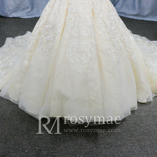 Trumpet V-neck Lace Applique with Beading Wedding Dress - Rosymae