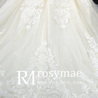 Trumpet V-neck Lace Applique with Beading Wedding Dress - Rosymae