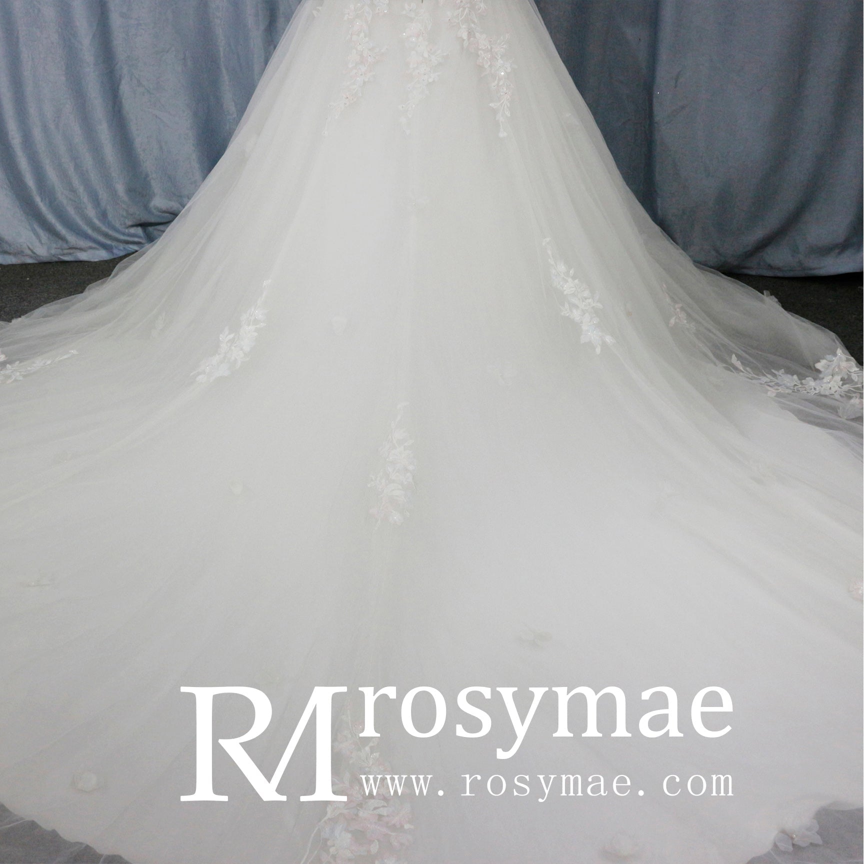 V-Neck Half-Sleeve Tulle Lace Ball Gown Wedding Dress - Rosymae