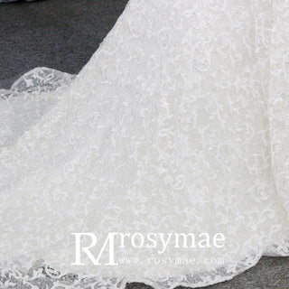 Vintage Plus Size Mermaid Lace Wedding Dresses - Rosymae